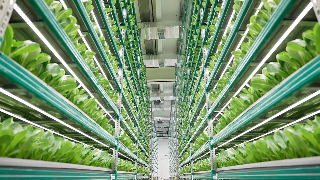 vertical farming tech overview