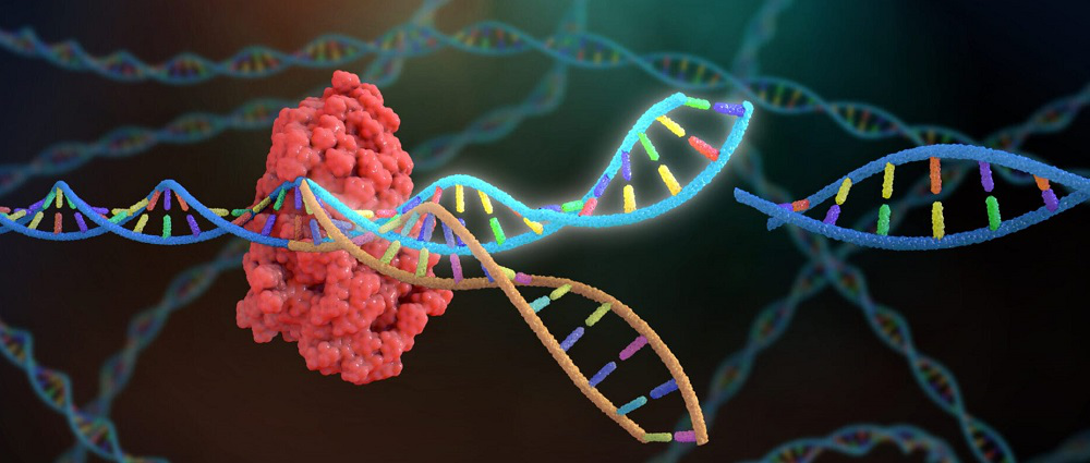 CRISPR und Gentechnik