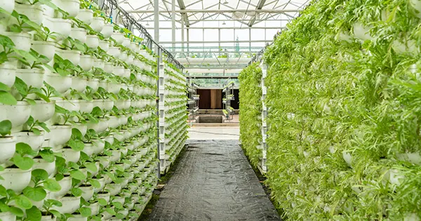 vertical-farming-2025