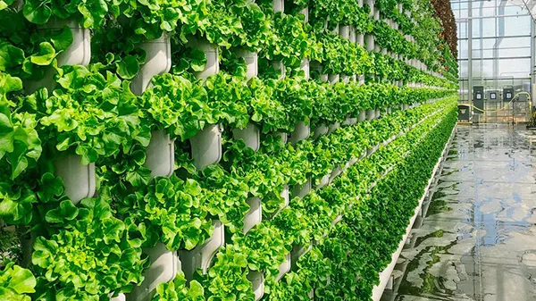 vertical-farming-2025